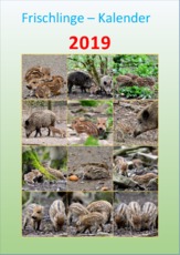 Frischlinge-Kalender_2019.pdf